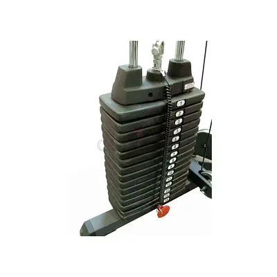 300 Lbs Regular Weight Stack Sp300