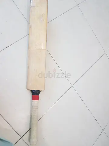 Cricket Bat