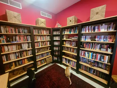 Modular bookshelf Ikea HEMNES