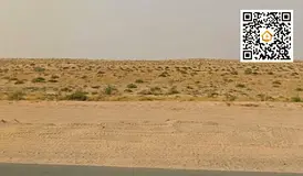 Residential Land | 2,640 sq ft | 18m Road | Freehold for All Nationalities | Al Sehma – Sharjah | 