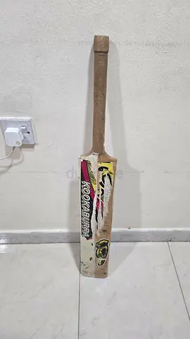 Cricket bat