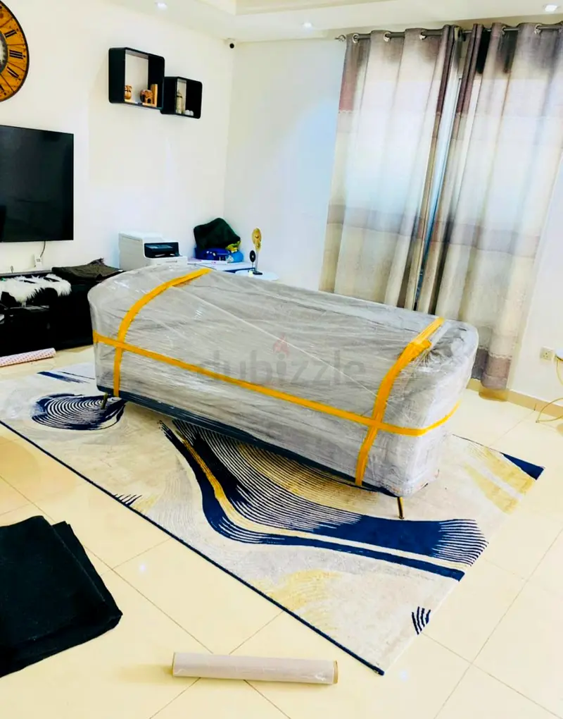 DPV_View_Image_2