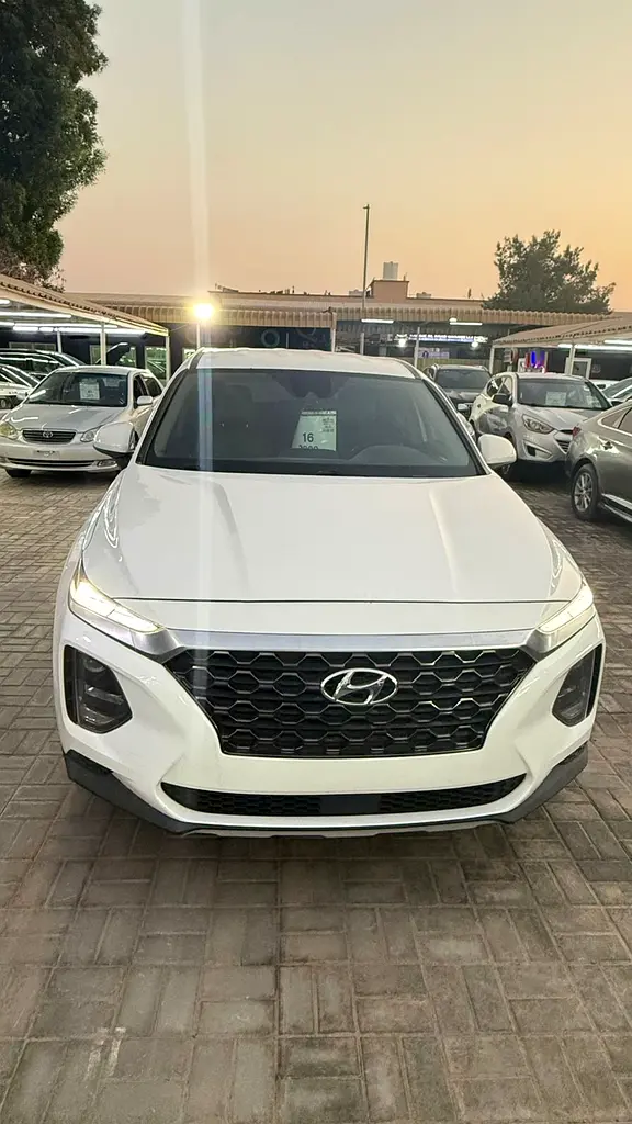 Hyundai Santa Fe 2020 — photo 1 of 11