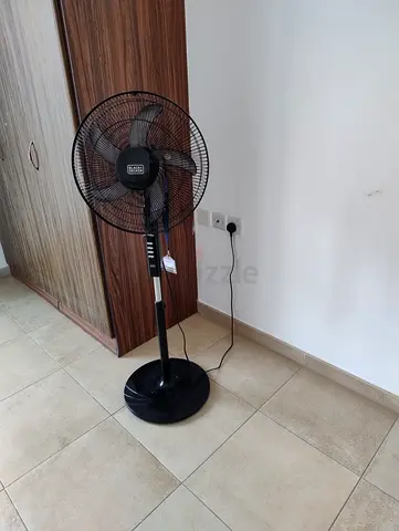 Fan