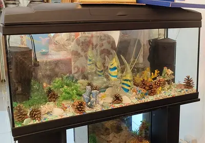 Beautiful  vibrant Aquarium with stand