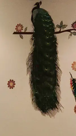 Dance classes for ladies and girls of all age groups.