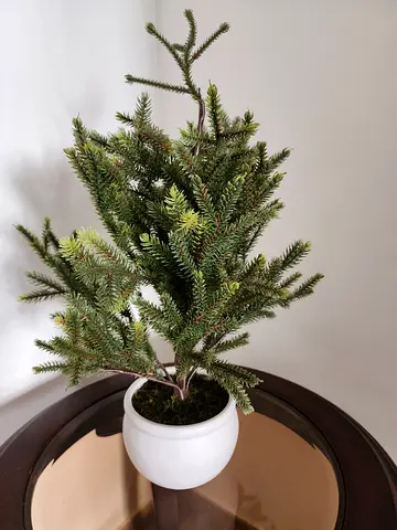 Beautiful Artificial Potted Tree fo CB2