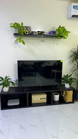 TV Stand Unit