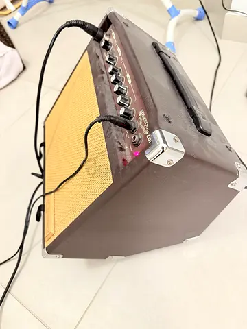 Amplifier with mic