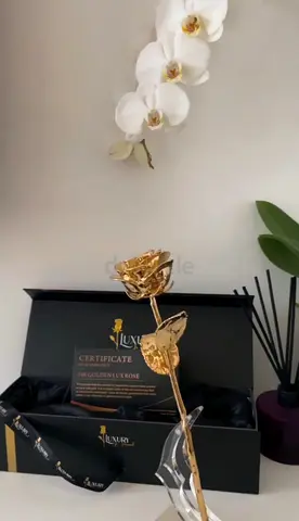 Elegant Gold-Plated Forever Rose with Certificate