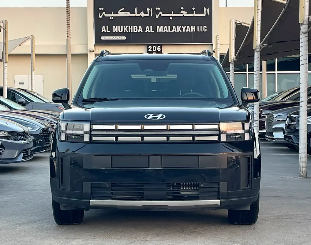 Hyundai Santa Fe 2024 — photo 1 of 20