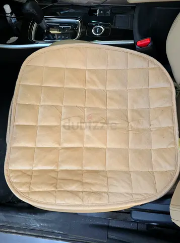 Car seat cushion