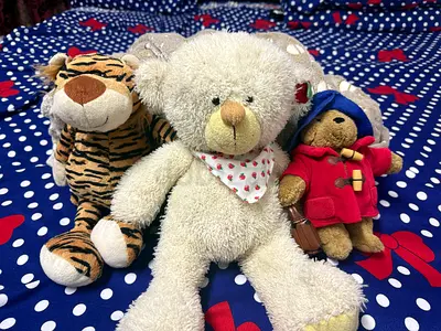 Adorable Assorted Stuffed Animals for Sale
