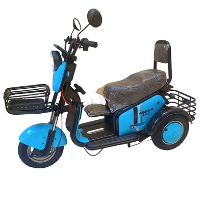 Tri-Wheel 2 Seaters Plus Baby Seat E-Bike with Luggage Basket | Reverse Mode | Remote Key |