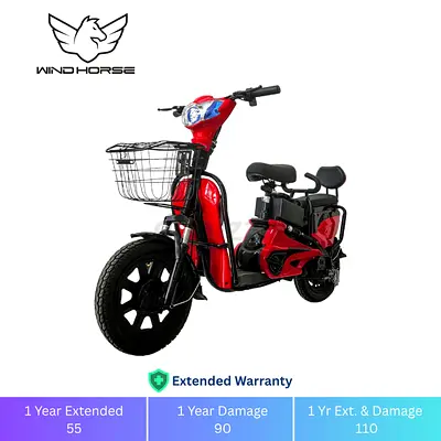 Electric Bike for two person