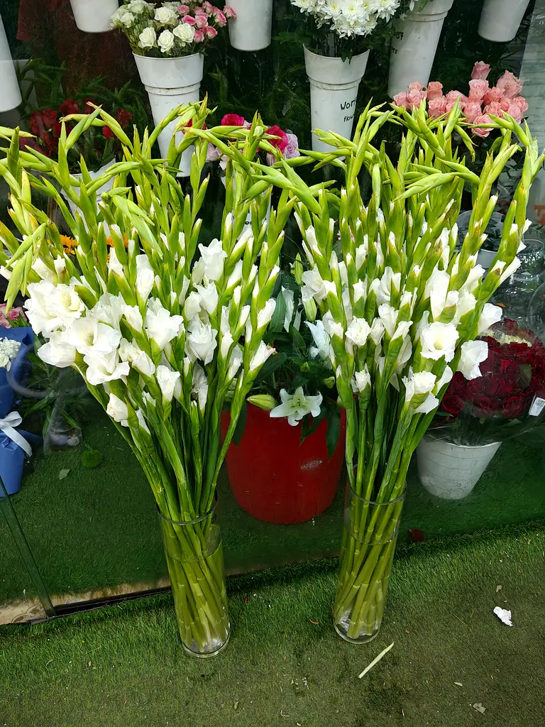 Listing Photo
