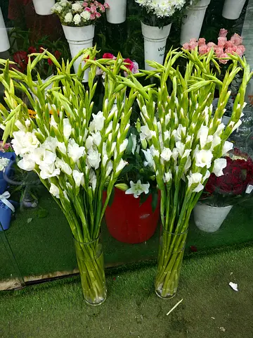 Gladiolus Flower Arrangement