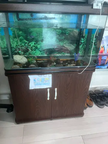 عجمان 1 الراشديه 3