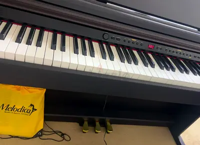 Dynamote SLP-150 Upright Digital Piano with Bench - Rosewood