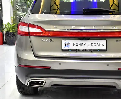 2016 Lincoln MKX 照片 8
