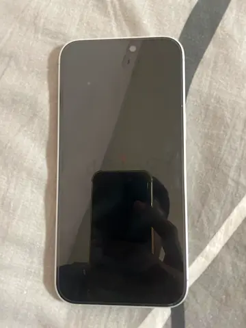 iPhone 16 Plus 256 GB