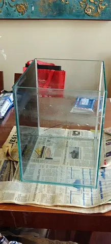 Stunning Glass Aquatic Tank for Sale + Free Items
