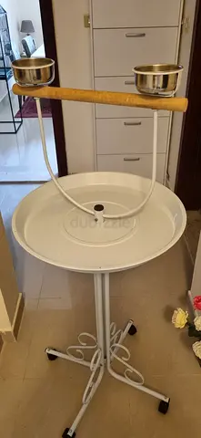 العين ، عشارج