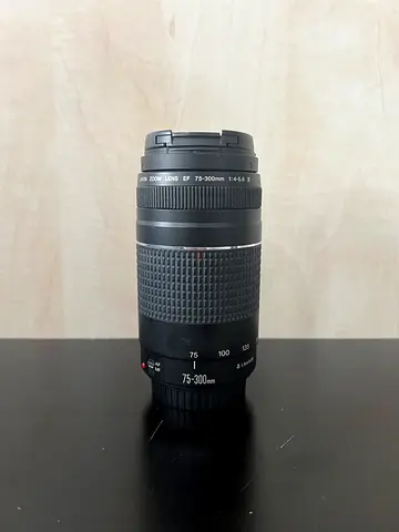Canon EF 75-300mm f/4-5.6 Lens - Great Condition