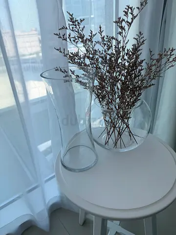 Elegant Glass Vases for Home Decor