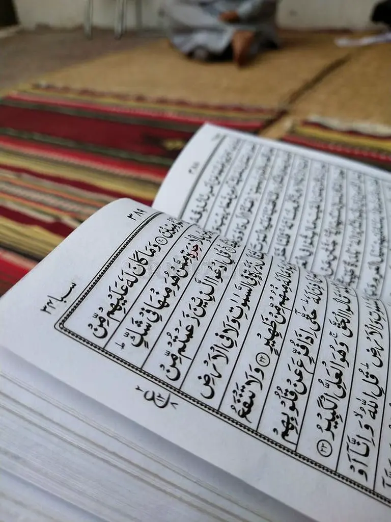 DPV_View_Image_2