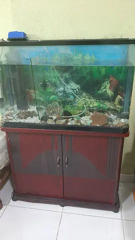 Beautiful Fish Aquarium with Stand for Sale