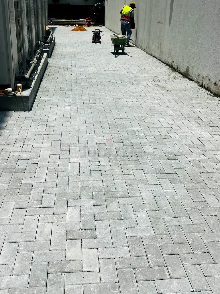 DPV_View_Image_8