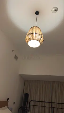 Elegant Pendant Light for Modern Interiors