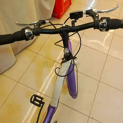 Well-Maintained Mountain Bike for Sale only one month use.