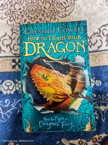 How to Train Your Dragon by Cressida Cowell How to fight a dragons Fury