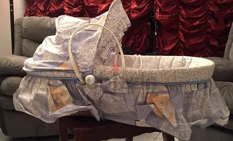 Charming Bassinet for Your Little One with Infant Carry Bag and suitcase all set .