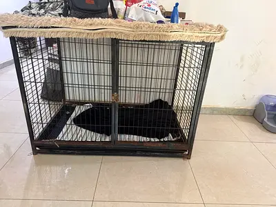 Spacious and Sturdy Dog Crate for Sale