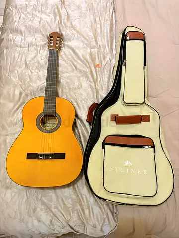 Steiner Acoustic Guitar with Protective Case