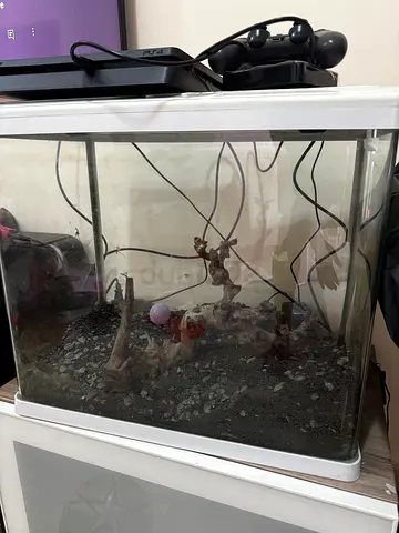Aquarium good condition
