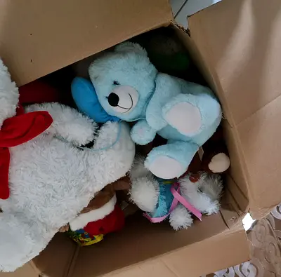 Collection of Soft and Cuddly Stuffed Animals