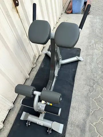 Hoist back Roman hayper