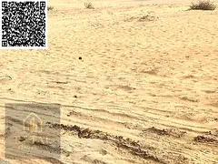 Industrial land for sale for building warehouses