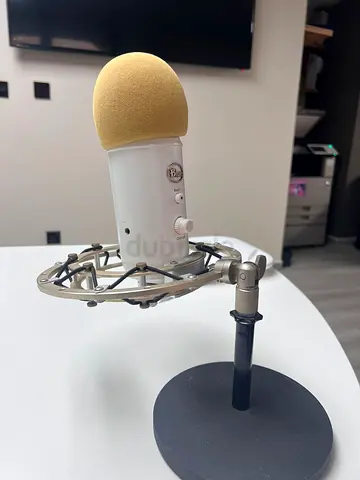 High-Quality Condenser Microphone for Sale