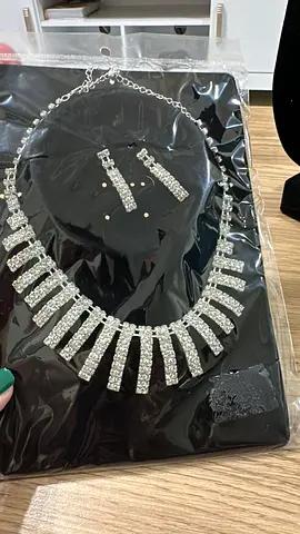 Elegant Silver Plated Necklace and Earring Set