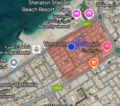 MISSING CAT — REWARD