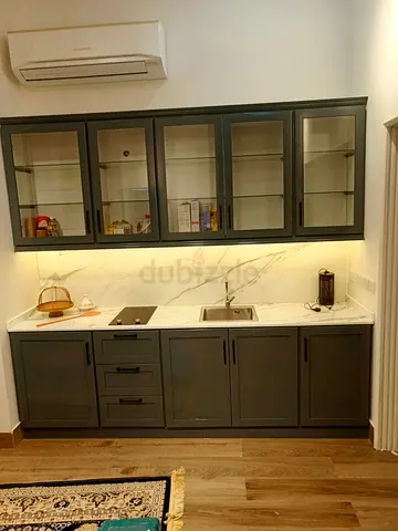 Sleek Modern Kitchen Cabinet with Sink