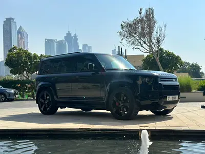 Free delivery to the airport or any other location