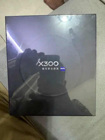 Vivo X300