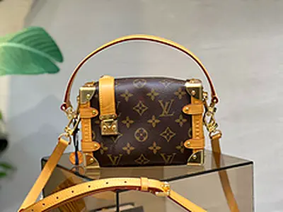 LV bag women