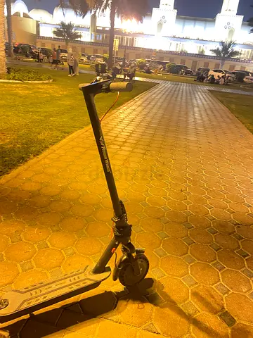 روهان وينجز موديل2022